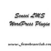 Sensei LMS WordPress Plugin 4.24.3.1.24.2 2 Sensei LMS WordPress Plugin