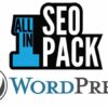 All in One SEO Pack Pro (Business) + Addons 4.2.9 2 All in One SEO Pack Pro