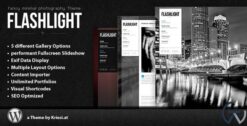 Flashlight - fullscreen background portfolio theme 4.3