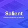 Salient - Responsive Multi-Purpose Theme 17.0.1 2 new theme preview. large preview