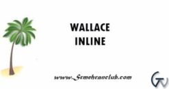Wallace Inline WordPress Plugin 2.3.0