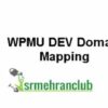 WPMU DEV Domain Mapping