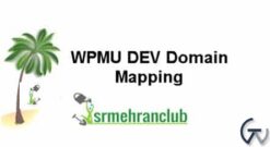 WPMU DEV Domain Mapping 4.4.3.4