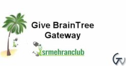 Give BrainTree Gateway 1.2.4