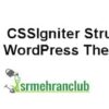 CSSIgniter Struct WordPress Theme 1.1.1