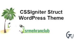 CSSIgniter Struct WordPress Theme 1.3.1