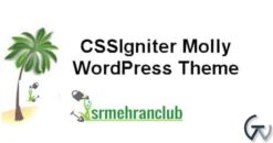CSSIgniter Molly WordPress Theme 1.7