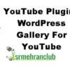 YouTube Plugin – WordPress Gallery For YouTube 3.5.0 2 YouTube Plugin %E2%80%93 WordPress Gallery For YouTube