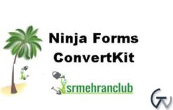 Ninja Forms ConvertKit 3.1.1