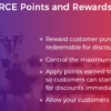 WooCommerce Points and Rewards - WordPress Plugin 1.8.9 3 WooCommerce Points and Rewards WordPress Plugin