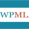 WPML String Translation Addon 1