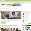 MyThemeShop Nominal WordPress Theme