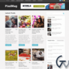 MyThemeShop Pixelmag WordPress Theme