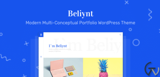 Beliynt Lite Modern Multi Conceptual Portfolio