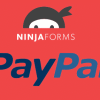 PayPal Standard Payment Gateway for Ninja Forms 2 Screenshot 8