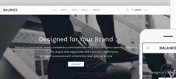WPZoom Balance WordPress Theme 2.0.0