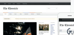 WPZoom Chronicle WordPress Theme