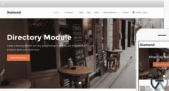WPZoom Diamond WordPress Theme 1.1.13