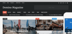 WPZoom Domino WordPress Theme 2.0.20