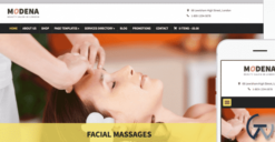 WPZoom Modena WordPress Theme 1.1.5