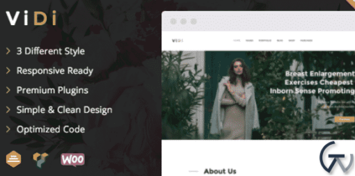 ViDi 3 in 1 Creative WordPress Theme