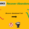 WooCommerce Recover Abandoned Cart 24.3.0 2 Screenshot 20 1