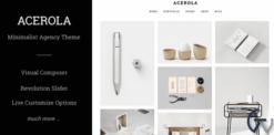 Acerola - Ultra Minimalist Agency WordPress Theme 1.5