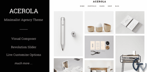 Acerola Ultra Minimalist Agency WordPress Theme