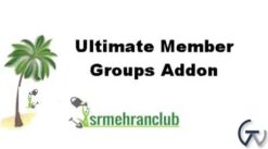 Ultimate Member Groups Addon 2.2.9