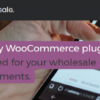 WooCommerce Wholesale Pricing