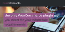 WooCommerce Wholesale Pricing 2.4.6