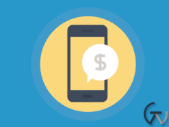 Paid Memberships Pro - Donations 2.2