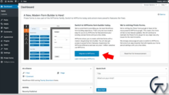 ThemeIsle Pirate Forms Extended 1.6.1