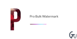Pro Bulk Watermark Plugin for WordPress 2.0