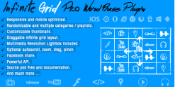 Infinite Grid Pro Wordpress Plugin