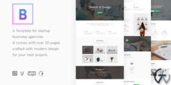 BoTheme - Startup Business WordPress Theme 1.1