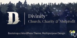 Divinity - Church& Nonprofit wordpress theme