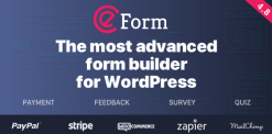 eForm – WordPress Form Builder 4.19.1