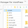 File Manager Plugin For WordPress