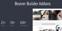 Livemesh Addons for Beaver Builder 2.9.3