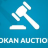 Dokan Simple Auctions Integration