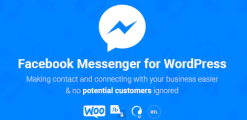 NinjaTeam Facebook Messenger for WordPress 2.8
