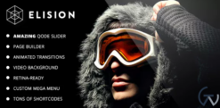 Elision – Retina Multi-Purpose WordPress Theme 4.6