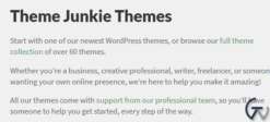 Theme Junkie Posted WordPress Theme 1.0.0