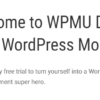 WPMU DEV Branda Ultimate Branding WordPress Plugin