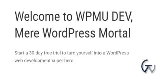 WPMU DEV Branda Ultimate Branding WordPress Plugin