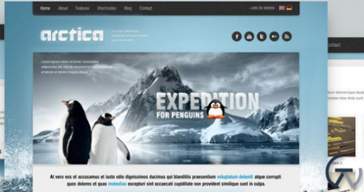 AIT Arctica WordPress Theme