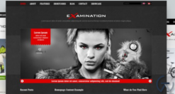 AIT - Examination WordPress Theme 1.27