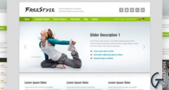 AIT - Freestyle WordPress Theme 2.53