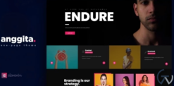 Anggita - One Page Portfolio Theme 1.3